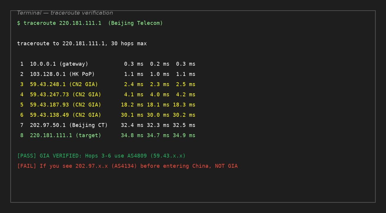Traceroute verification showing AS4809 59.43.x.x hops